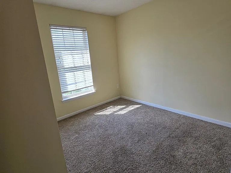 4927 Bristle Cone Cir — Photo 16