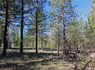 0 Twin Lakes Dr #127, Winthrop, WA 98862