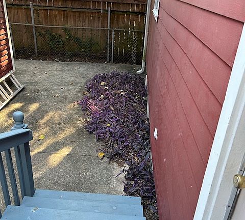 4th image of 2020A Burdette St