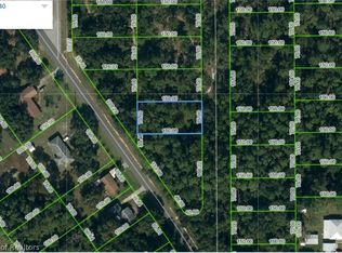 438 Patton Ave, Lake Placid, FL 33852