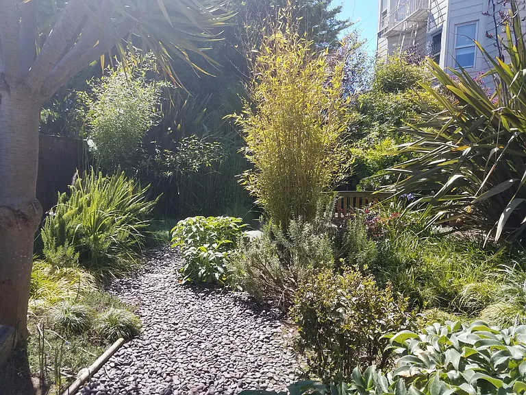 445 Scott St #3 — Photo 15