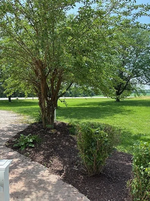 4 bed, 2.5 bath, 1944 sqft, $2,650 — Photo 2