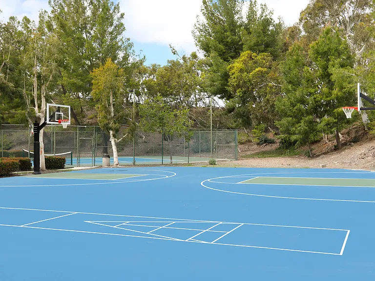 Basketball and Multi-sport Court