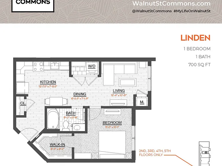 Walnut Street Commons — Photo 22