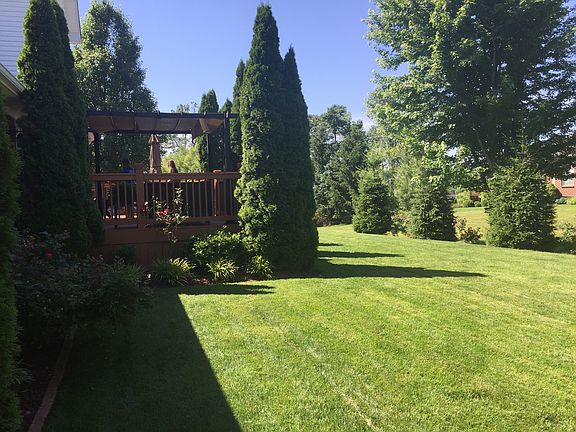 Beautiful Back Yard