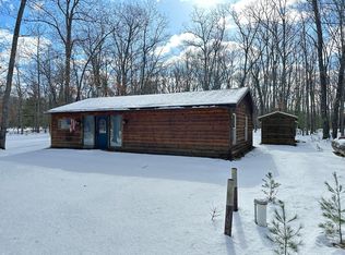 11530 N Dexter Rd, Irons, MI 49644