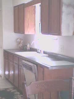 updated sink & new countertops 2006