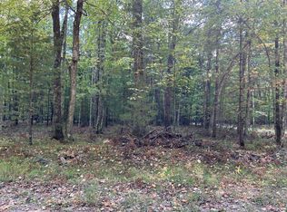 V/l Trail Of The Lakes, Baldwin, MI