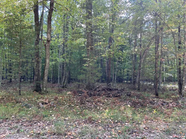 V/l Trail Of The Lakes, Baldwin, MI 49304