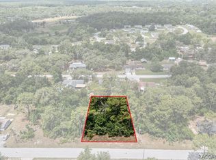 1119 Jones Ave, Inverness, FL 34453