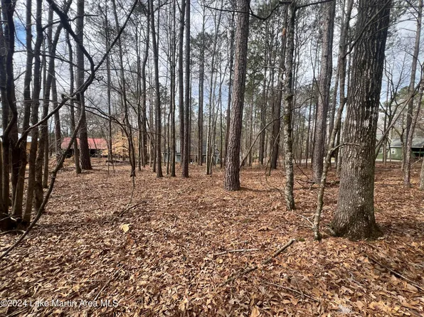 24 Dogwood Ln, Dadeville, AL 36853