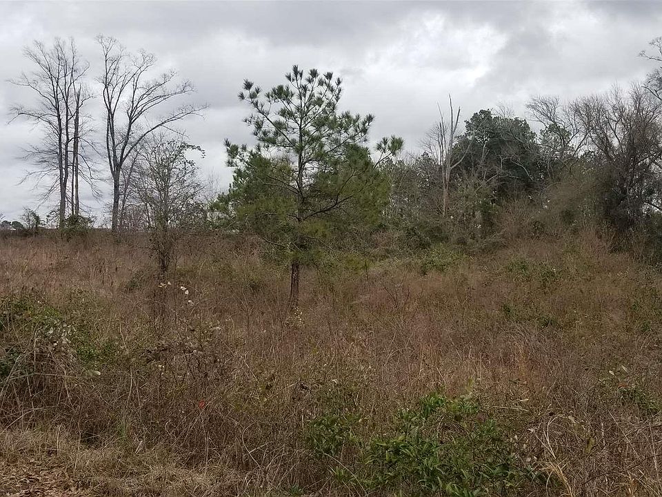 2nd image of 6560 Cypress St