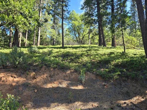 2964 Murphys Dr, Arnold, CA 95223