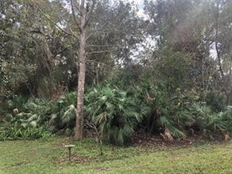 170 Palmetto Woods Ct #3C — Photo 21