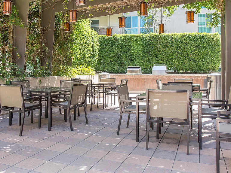 Outdoor Grilling Area and Lounge Space