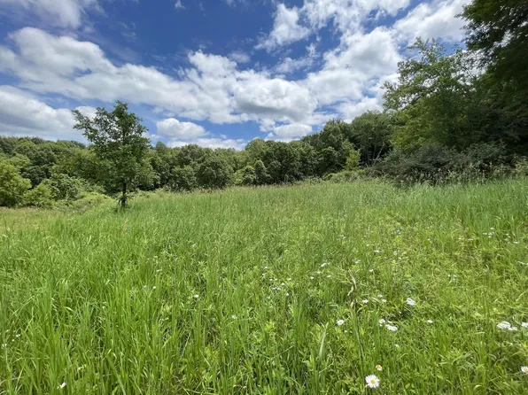 Lot 175 Elk Court #175, La Valle, WI 53941