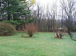 Large Backyard
