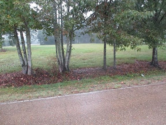 Property Across The Street