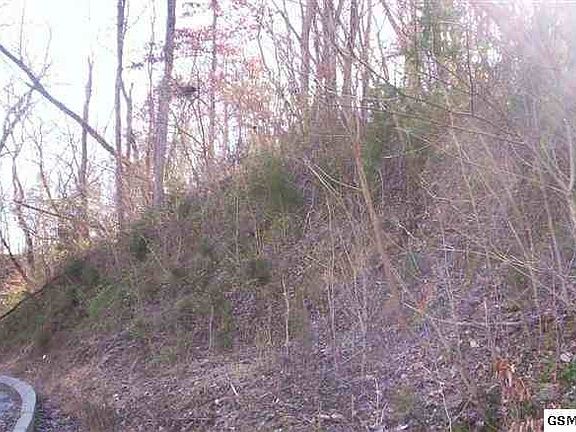4th image of 37 Hideaway Ridge Cir Lot 37-R