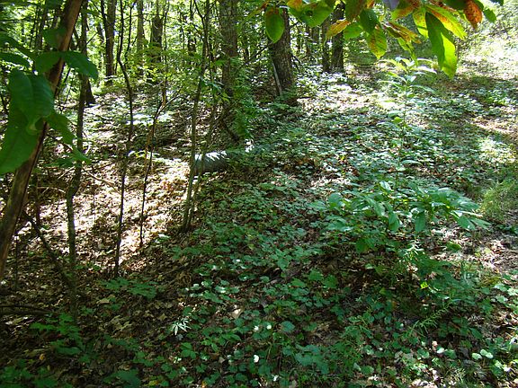 5th image of 744 Fern Valley Trail 129 & #130