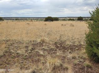 22 County Rd #5A, Concho, AZ 85924