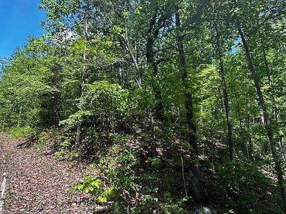 4th image of 0 Rockhouse Rd Lot 48