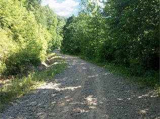 1443 Big Trace Fork Rd, Harts, WV 25524