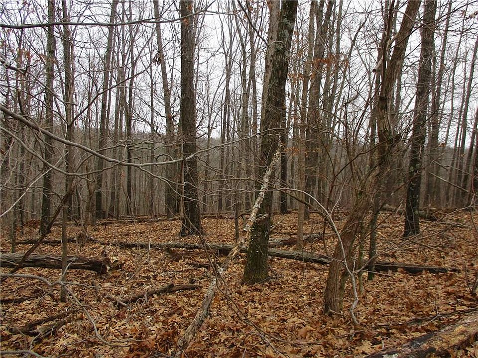 2nd image of Darlington Cir