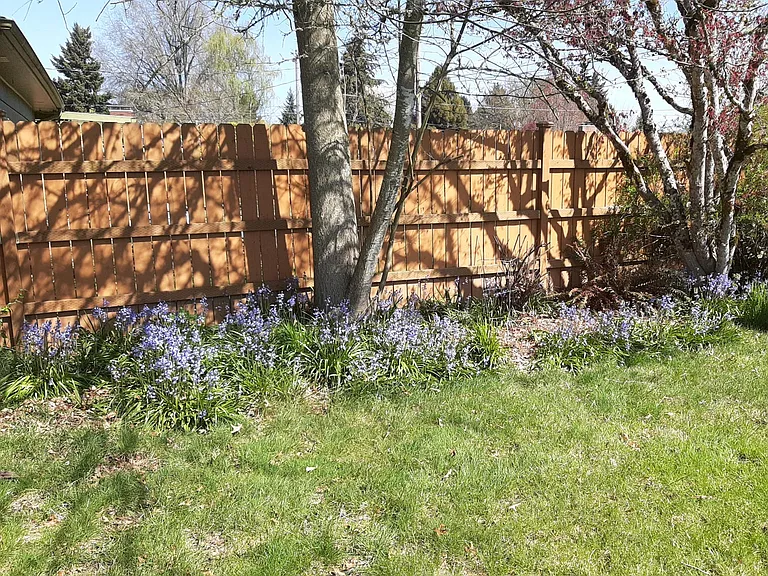 NW 19th St — Photo 5
