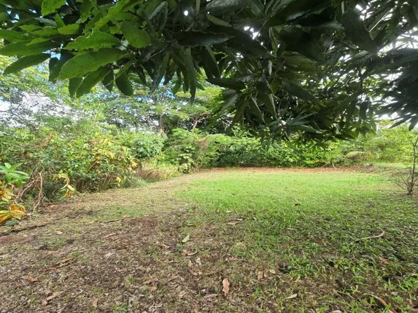 Carr 146 Km 16.2 Bo Fronton Camino, Ciales, PR 00638