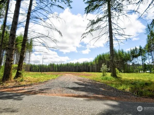 185 E Hale Road, Napavine, WA 98596