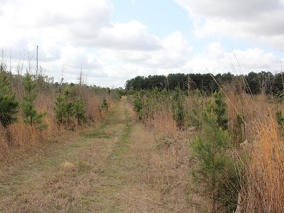 5th image of 0 Ponderosa Rd