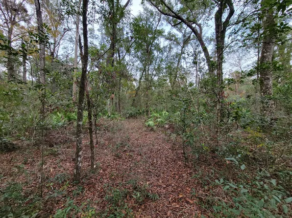1811 NE 364th Ave Lot 44, Old Town, FL 32680