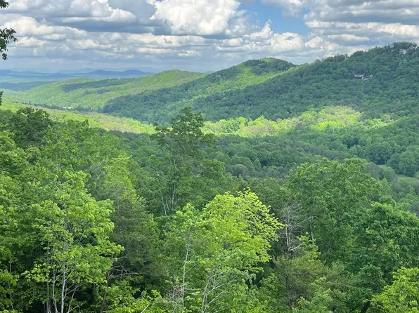 Andes Rdg Lot 288, Ellijay, GA 30536