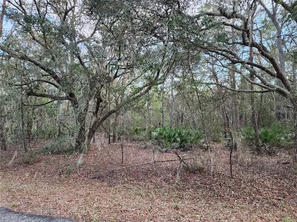 FISHER RUN COURSE COURSE LOT 6, OCKLAWAHA, FL 32179