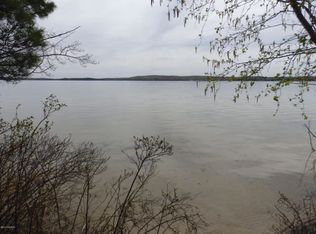 13500 Milarch Rd, Bear Lake, MI 49614