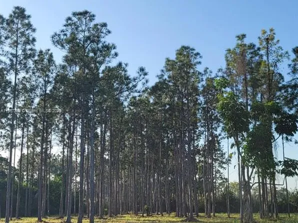 332XX SW 194th Ave, Homestead, FL 33034