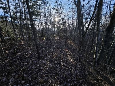 Hermosa Dr, Pulaski, VA, 24301