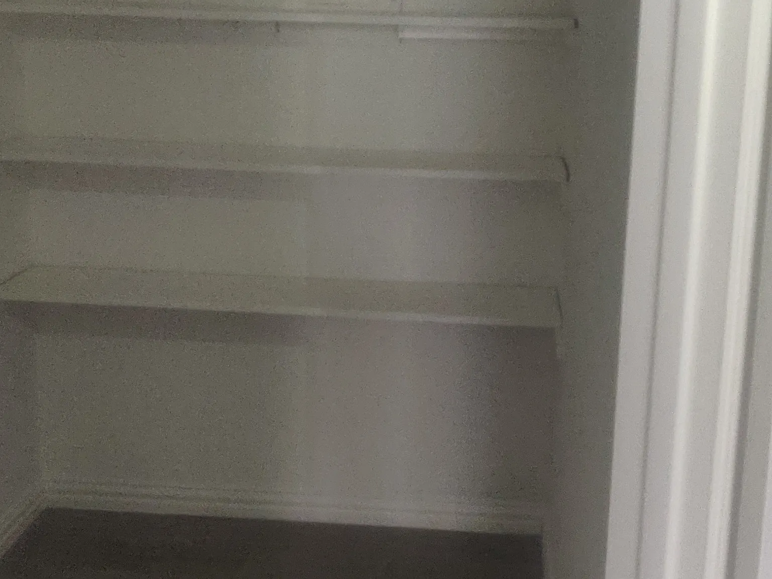 1 bed, 604 sqft, $1,000 — Photo 3