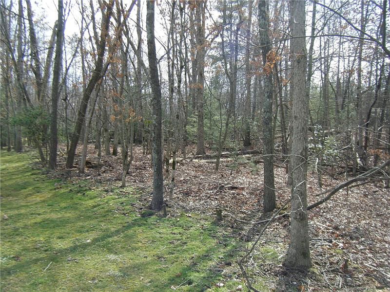 2nd image of 21 Forest Hill Ct
