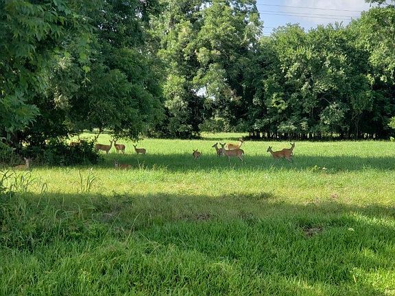 3rd image of 267 & 273 Middle Bayou Trl Lot 12