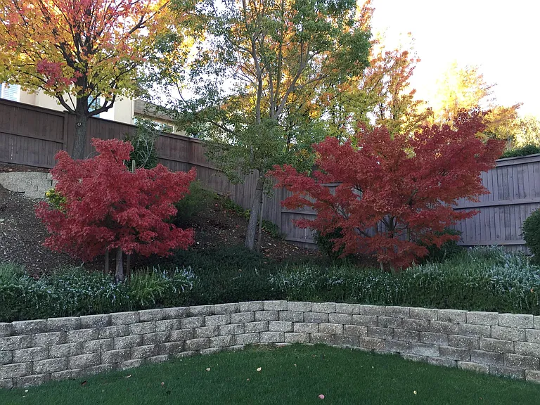 8054 Murcia Way — Photo 13