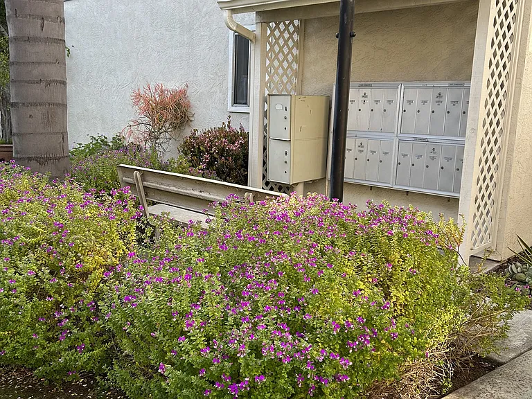 Carlsbad Sunset Senior Apts — Photo 12