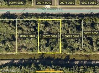 718 Chemstrand St E, Lehigh Acres, FL 33974