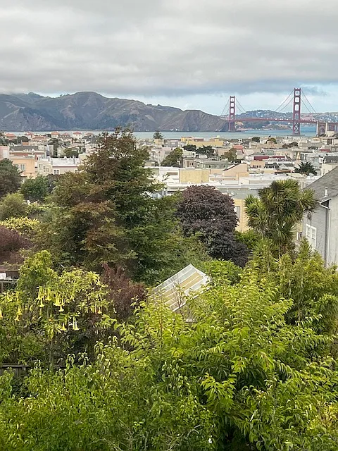Studio, 425 sqft, $2,500 — Photo 1