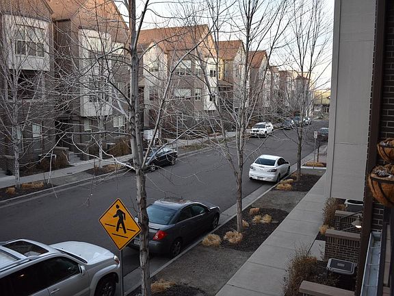 Street view from patio