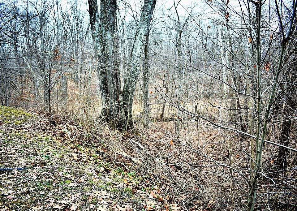 2nd image of 2422 Hornettown Rd