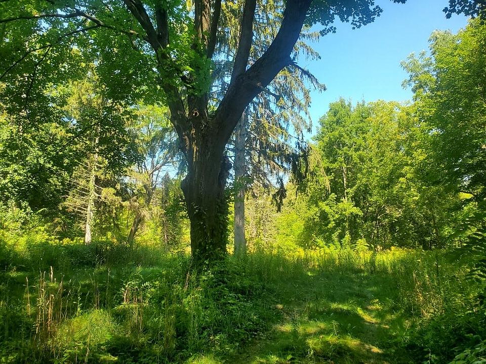 2nd image of 1897 E Lemon Creek Rd