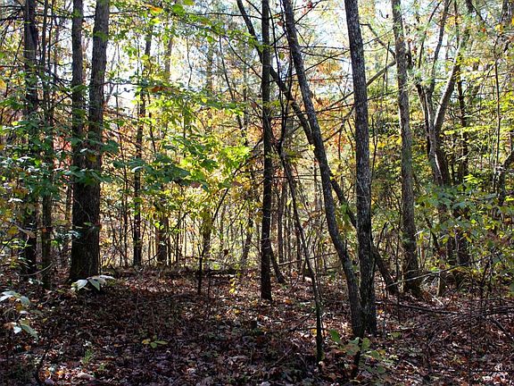 2nd image of Lot 42 Double Arch Retreats Lot 42