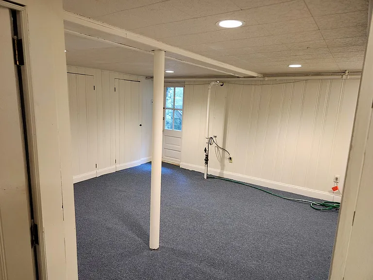 Carpetted basement